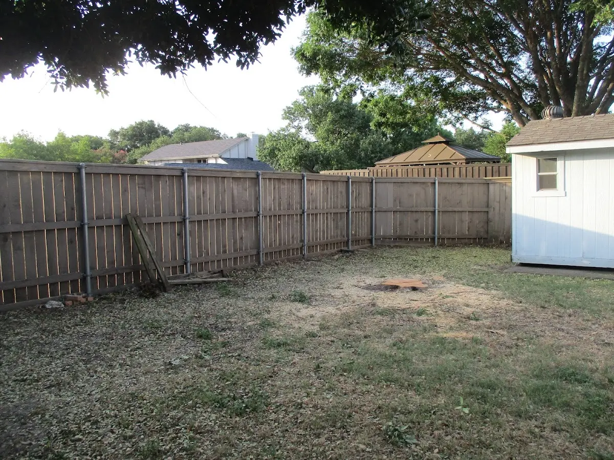 Cleared yard after professional tree removal in Ottumwa